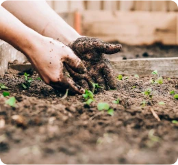 Gardening